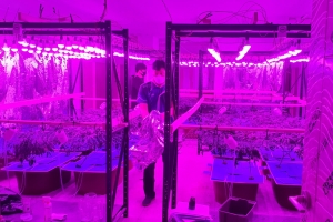 코로나로 더 은밀해진 마약거래…올해에만 400명 검거