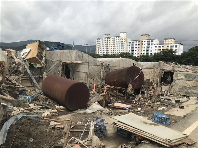 섬진강 범람으로 막대한 침수피해를 입은 전남 구례군 구례읍 일원에서 닷새째 복구가 진행되고 있지만 양정지구의 비닐하우스들은 13일 현재 쓰레기에 뒤엉킨 상태에서 복구 손길만을 기다리고 있다. 지난 5일부터 9일까지 폭우가 쏟아지면서 최악의 물난리를 겪은 전남도는 이날 오전 7시 현재 잠정 집계한 피해액이 4277억 3000만원이라고 밝혔다. 이 가운데 구례지역의 피해액만 1200억원이 넘었다. 구례 뉴스1