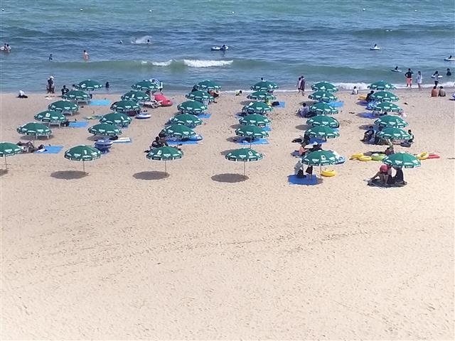 부산 해운대해수욕장의 2m 간격 파라솔. 해운대구 제공