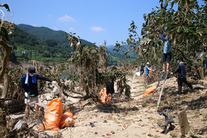자원봉사자들이 구례읍 유곡마을 섬진강변의 감나무밭에 걸려 있는 폐기물들을 수거하고 있다.