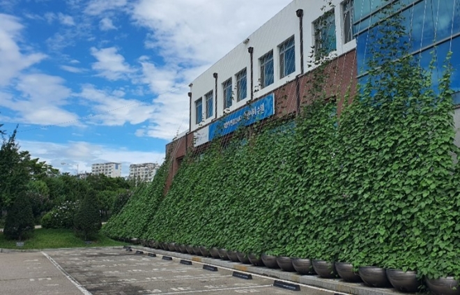 수원시의 그린커튼.   경기도제공  　 