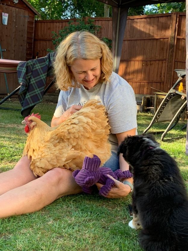 영국 서머싯에 사는 사라 치드윅은 20년 전부터 이따금 닭을 기르다 이번에 ‘암탉에 새 출발을’ 캠페인에 참여했는데 계란을 구하겠다는 것보다 반려 동물로서 대하며 느끼는 행복감이 크다고 말했다. 사라 치드윅 제공 BBC 홈페이지 캡처 