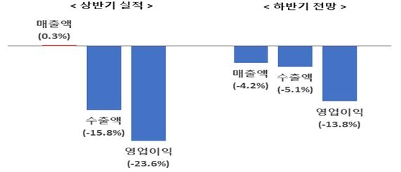 6개 수출 주력업종의 전년 동기 대비 상반기 실적, 하반기 전망 전경련 제공