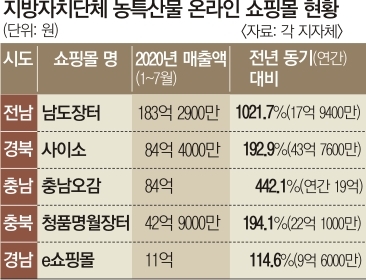 지방자치단체 농특산물 온라인 쇼핑몰 현황