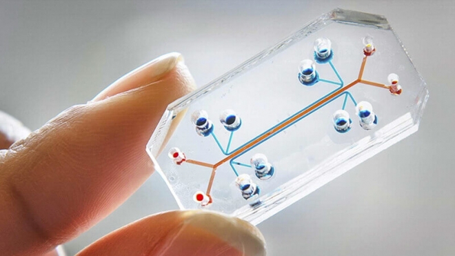국내 연구진, 장기모사칩 빠르게 제작하는 법 개발