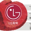 LG화학, 배터리 특허전 ‘기선제압’… SK이노 “유감, 즉각 항소”