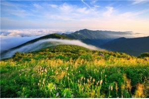 드라마 ‘지리산’