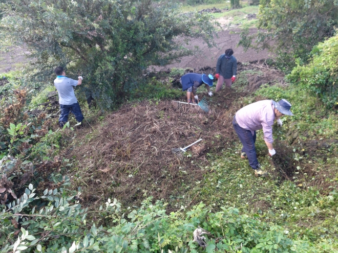 제주시 도두동 효동마을 주민들이 연고가 없는 분묘에 벌초 봉사활동을 벌이고 있다.(제주 도두마을 커뮤니티)