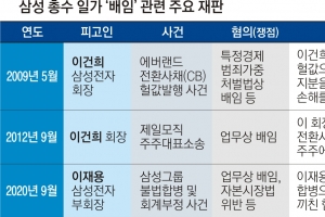 삼성가 代 이은 배임죄 족쇄… 일각 “檢에 자충수 될 수도”
