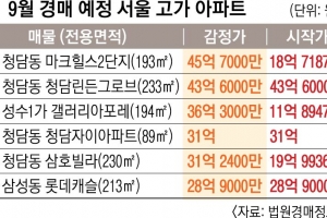 강남 수십억 초고가아파트, 무더기 경매 매물로