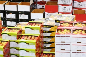 현대화사업 끝낸 수원농수산물도매시장