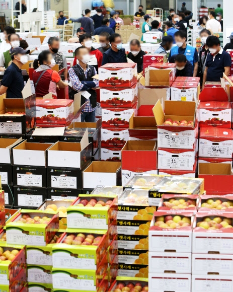 현대화사업 끝낸 수원농수산물도매시장