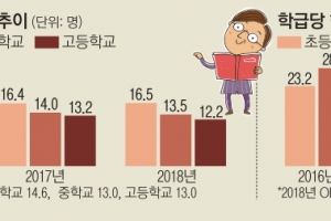 ‘백호·흑룡띠’ 반짝 증가… 교사당 초등생 늘어 16.5명