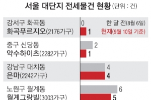 은마 4건, 화곡푸르지오 1건뿐… ‘전세 패닉’ 여전했다