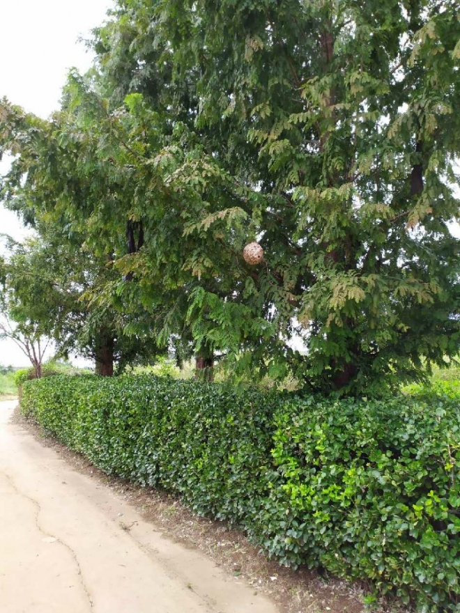 경기도의회 제공