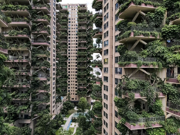 中 정글 아파트 