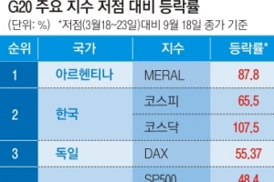 동학개미 파워에… 코스피 6개월간 65.5% 상승 ‘세계 2위’