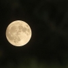 추석 보름달, 서울선 오후 6시 20분에 떠요