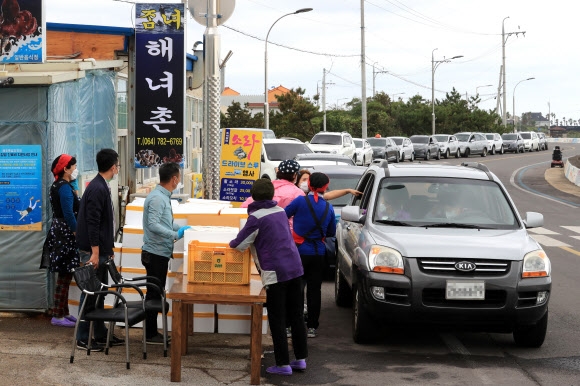 제주 뿔소라 드라이브스루 ‘대박 스루’