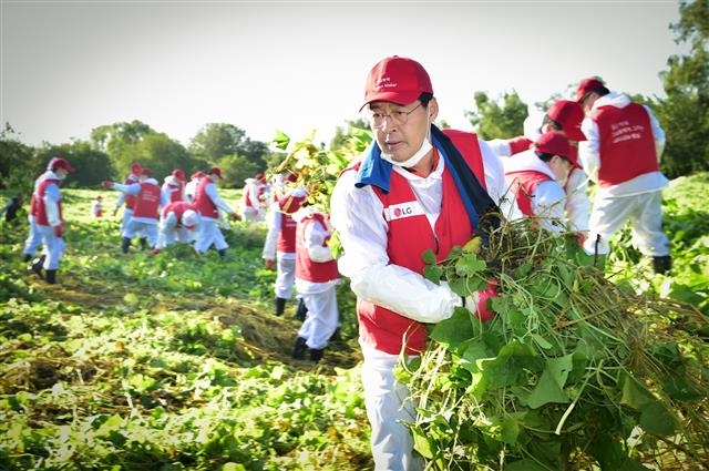 LG화학 직원들이 서울 밤섬에서 생태계를 교란하는 식물들을 제거하고 있다. LG화학 제공