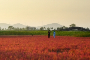 한적하니 거리두기 딱 좋네