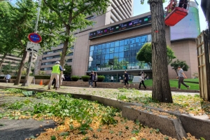 버젓이… 대낮에 털린 ‘은행’