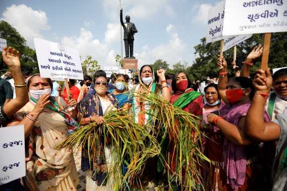 인도 농민 “농업 민영화 반대”