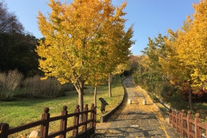 ‘집콕’ 지칠땐 호젓한 힐링 여행…경남 숨은 관광지 18선