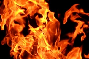 광명 비닐하우스서 불 …인근 공장으로 번져 1명 부상