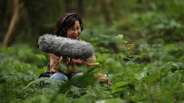 KBS 1TV 특별기획 ‘힐링다큐 나무야 나무야’에 출연한 이선희.