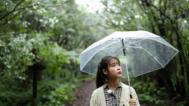 KBS 1TV 특별기획 ‘힐링다큐 나무야 나무야’에 출연한 아이유.