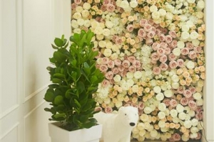 꽃길만 걸어봐요, 지친 맘 걷어내요… 서초맘 여기 어때