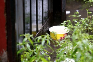 [단독] 의식 찾은 ‘라면 형제’ 일반병실로… 형은 대화하기도