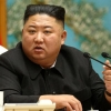 국정원 “김정은, 8년간 60kg 쪘지만 건강에 큰 이상 없어”