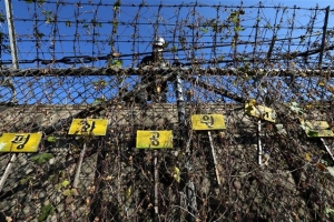 부평미군기지 철조망 제거… 80년 만에 시민 품으로