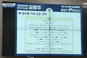 의원실에 ‘야동’ 내역 보낸 민주평통..“공직기강 해이”