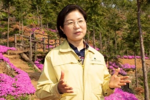 은평 봉산 편백나무 힐링 숲에 무장애 산책길 조성