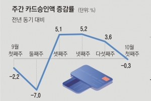 다시 꺼낸 1000만명에 소비쿠폰… ‘V자 반등 골든타임’ 살릴까