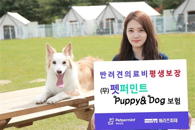 모델이 국내 최초 장기 펫보험 ‘펫퍼민트 Puppy&Dog보험’을 소개하고 있다. 메리츠화재 제공
