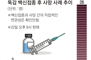 “17세 고교생 사인, 독감 백신 접종과 무관”