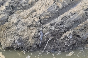 택지개발지에서 불법폐기물 대량 발견 공공개발 차질… ‘처리비는 누가 부담?’