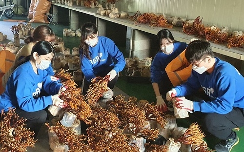 bhc치킨 ‘해바라기 봉사단’ 4기 1조 농가봉사활동