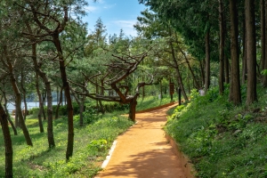 “가을정취 만끽하고, 스트레스도 날리고” ...부산관광공사 추천 비대면 관광지 7곳