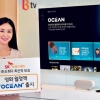 신규 영화 월정액 서비스 ‘오션’ 큰 인기… SK브로 “개봉 1년 이내 작품 국내 최다”