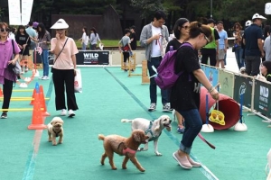 “어서 오시개”… 반려견과 즐기는 노원 축제