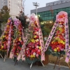 진혜원 “검퀴벌레 없애게 파리지옥풀 달라” vs 진중권 “너가 검퀴”