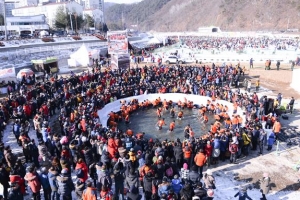 화천 산천어축제 취소… 준비한 77t은 어쩌지?