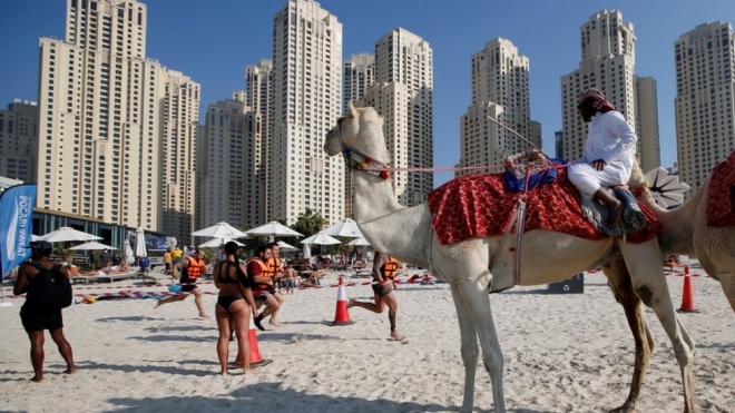 아랍에미리트(UAE) 두바이에서 열린 아쿠아 챌린지 스포츠축제에 참여한 관객이 낙타 등에 앉아 해변 달리기 경기를 지켜보고 있다. EPA 자료사진 