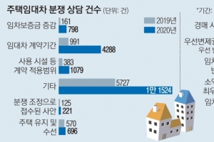 전세 갈등 커지는데… 임대주택 공급안은 발표 전부터 ‘허점’