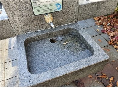 11월 8일 기준 뚝섬유원지 첫 번째 음수대